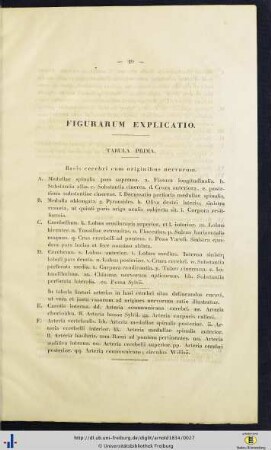 Figurarum Explicatio.