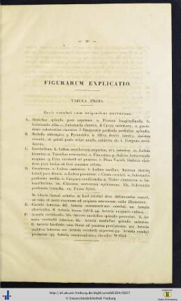 Figurarum Explicatio.