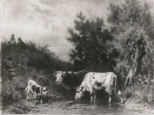 Kühe an der Tränke : Kühe an der Tränke. Gemälde (vor 1892; Konrad Reinherz)