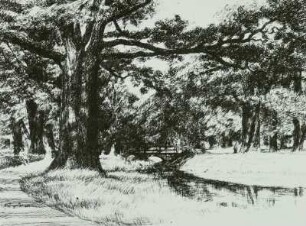 Landschaft