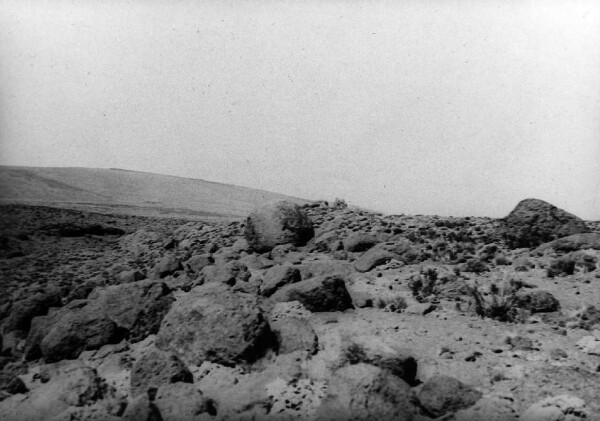 Le Kilimanjaro. Désert de pierres (limite de végétation)