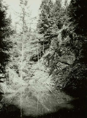 Osterzgebirge, Bergbaugebiet Niederpöbel-Sadisdorf, Binge der Grube Hilfe Gottes, abgesoffen