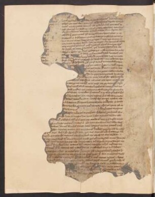 Tractatus de menstruatione et conceptione mulierum, unvollständig