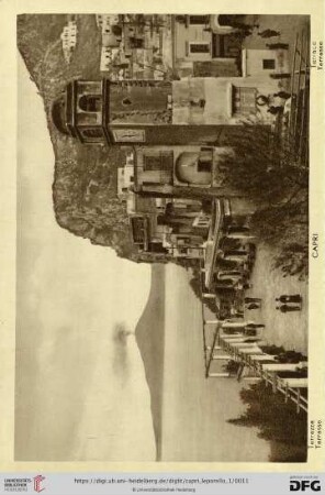 Capri – Terrazza – Terrasse – Terrace – Terrasse