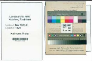 Entnazifizierung Walter Hallmann , geb. 07.10.1904 (Zollbeamter)