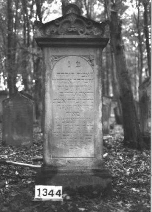 Grabstein 1344 (Index: 99900248) Material: Sandstein Zustand: leicht verwittert Maße HxBxT: 153x60x35 cm Beschreibung: aufgesockelte Stele mit Giebelabschluss, Giebel- und Eckakroterien, im Giebelfeld Palmette und Ranken Symbolik: Palmette, Ranken: Grabstein 1344