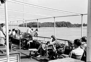 Gönyü: bewaldete Insel, Vordergrund bei Gönyü