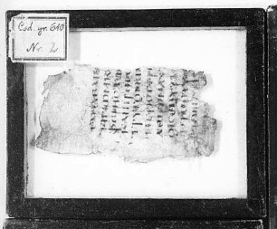 Leviticus - BSB Cod.graec. 610(2