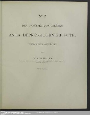 Der Urbüffel von Celébes: Anoa depressicornis (H. Smith) : Versuch einer Monographie