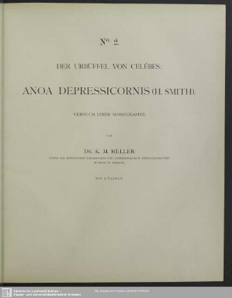 Der Urbüffel von Celébes: Anoa depressicornis (H. Smith) : Versuch einer Monographie