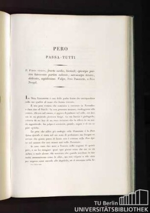 Pero Passa-Tutti