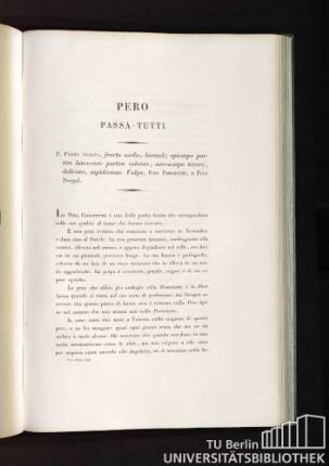 Pero Passa-Tutti