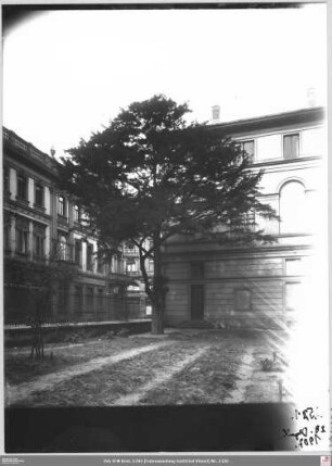Zum Transport gestutzte Eibe mit Senckenbergischer Bibliothek (angeschnitten) von Südwesten
