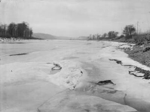 Coswig. Blick zur Gauernitzer Insel