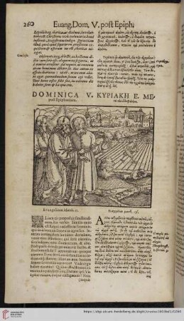 Dominica V. post Epiphaniam