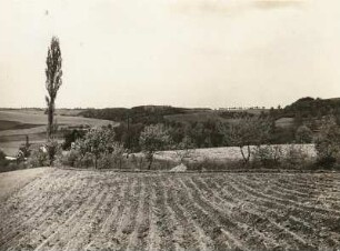 Tal der Kleinen Striegis. Blick stromabwärts von der Höhe des Fahrweges Ottendorf-Neumühle