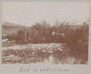 Bach im wadi el-hesa.