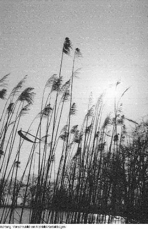Rösa-Brösa (Kreis Bitterfeld), Landschaften, 1957