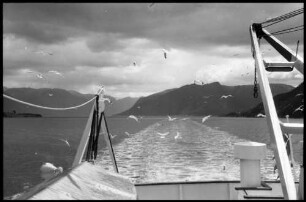 Lavik: Sognefjord, Kielwasser