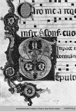 Antifonarium Q aus San Domenico, Perugia : Initale S
