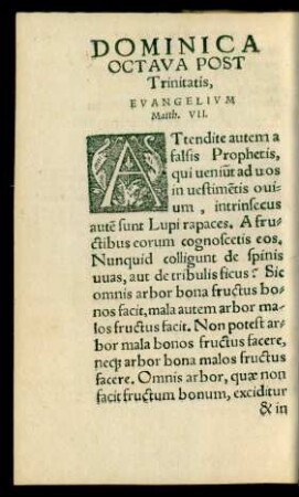 Dominica Octava Post Trinitatis ...