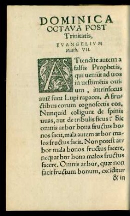 Dominica Octava Post Trinitatis ...