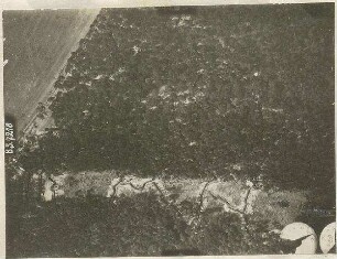 Schützengräben im Vogelholz bei Schleißheim (700 m)