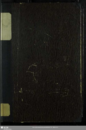 N.F.10.1889: Pädagogische Studien