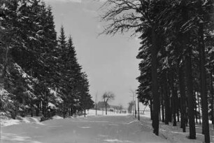 Erzgebirge. Altenberg. Blick zum Berghof "Raupennest". Winteraufnahme