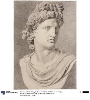 Apoll von Belvedere
