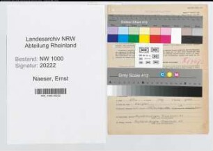 Entnazifizierung Ernst Naeser, geb. 01.10.1888 (Gaertner)