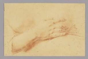Rechte Hand mit Unterarm