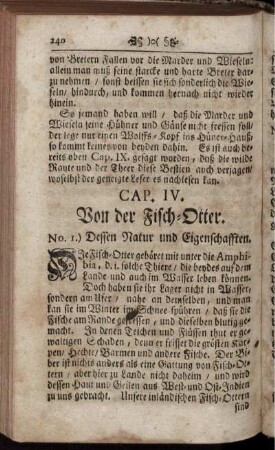 CAP. IV. Von der Fisch-Otter