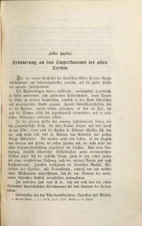 Serbien und die Türkei im 19. Jahrhundert