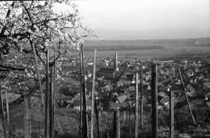 Ihringen: Blühender Kirschbaum und Blick auf den Ort