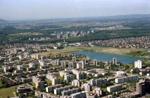 Freiburg: Bischofslinde