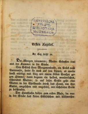 Die Freunde : Roman von Josef Rank, 1