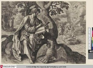 Der Evangelist Johannes