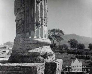 Paestum. Schaft einer herrlichen dorischen Säule