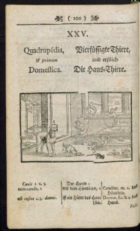 XXV. Quadrupédia, & primum Domestica. Vierfüssigte Thiere, und erstlich Die Haus-Thiere