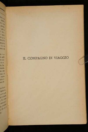 Il Compagno Di Viaggio
