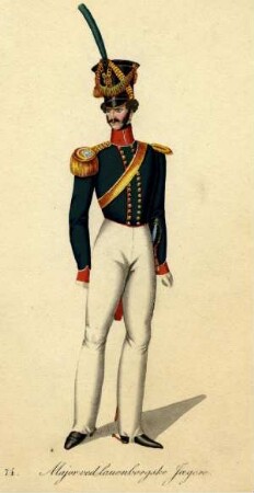 Uniformbild, Offizier der dänischen Armee
