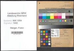 Entnazifizierung Franz Steiger , geb. 27.11.1901 (Polizeibeamter)