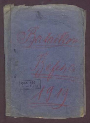 Befehle des Reichswehr-Pionier-Bataillons 313