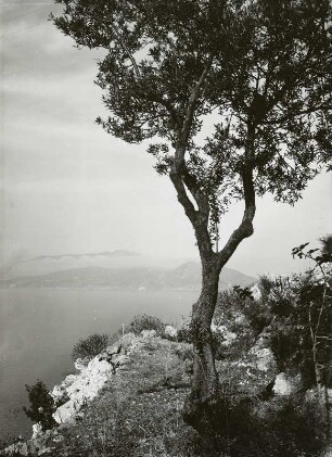 Ufermotiv auf Capri