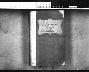 Diarien 1813
