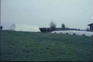 Fotografie: Lagertechnik, Silage, Fahrsilo, Quaderballen, Siloabdeckung