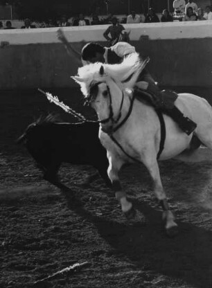 Eignungsprüfung junger Kampfstiere, Jerez 1990 : Pferd mit Reiter im Stierkampf