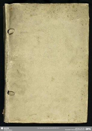 Briefe, vorrangig an Domenico Trevisan – Mscr.Dresd.C.108