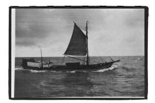 Argonaut (1911), Willi Hagenah, Dornbusch